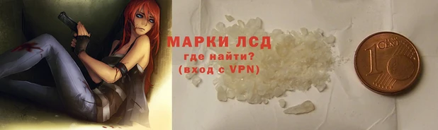 прущие грибы Навашино