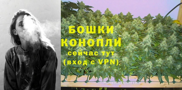 прущие грибы Навашино