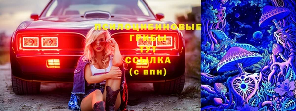 прущие грибы Навашино